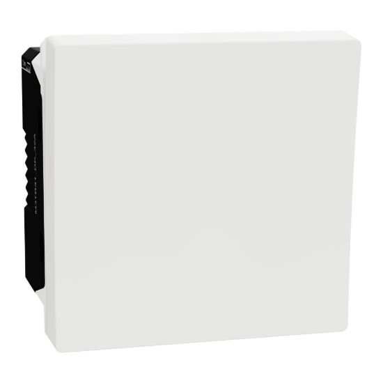Picture of Disconnect Switch, Miluz E, 32AX, 250V, 2 Module, White